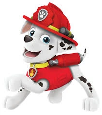 marshall de paw patrol