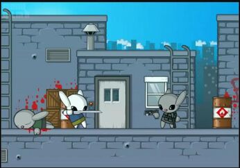 Snowball face to face with a Swat