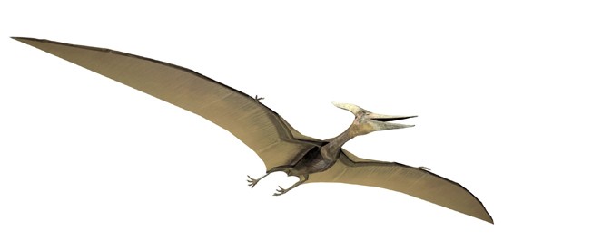 Pterodactyls The Cabin in the Woods Wiki FANDOM