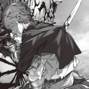 Shiniki No Campioness Volume 5 Campione Wiki Fandom,Quotes Pandangan Pertama
