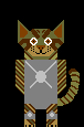 Wildcat Captain
