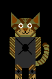 Wildcat Soldier
