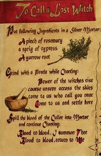 Witch must haves