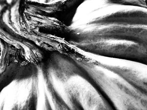 62-365 Jack's End