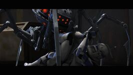 Rex 16