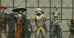 Box survivors