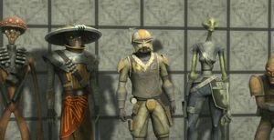 Box survivors