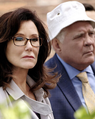Sanctuary City Part 2 The Major Crimes Division Wiki Fandom
