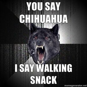 Insanity Wolf Poochpedia Fandom