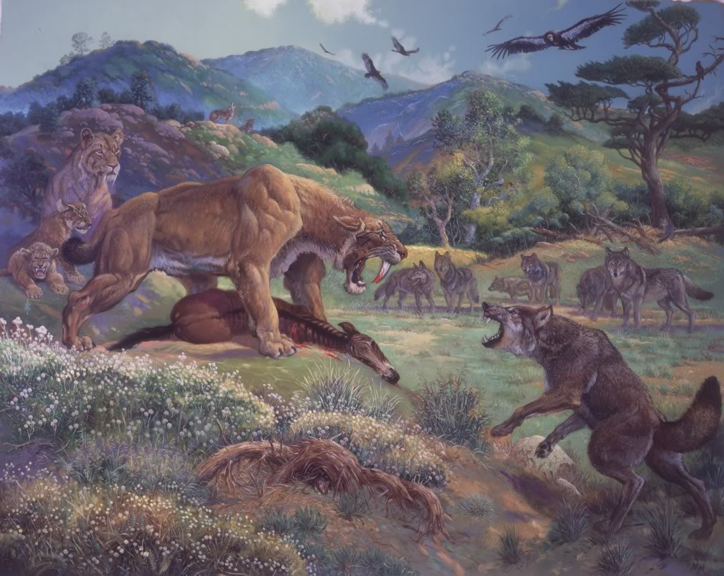 Saber-toothed tiger | The Coterie Wiki | FANDOM powered by Wikia