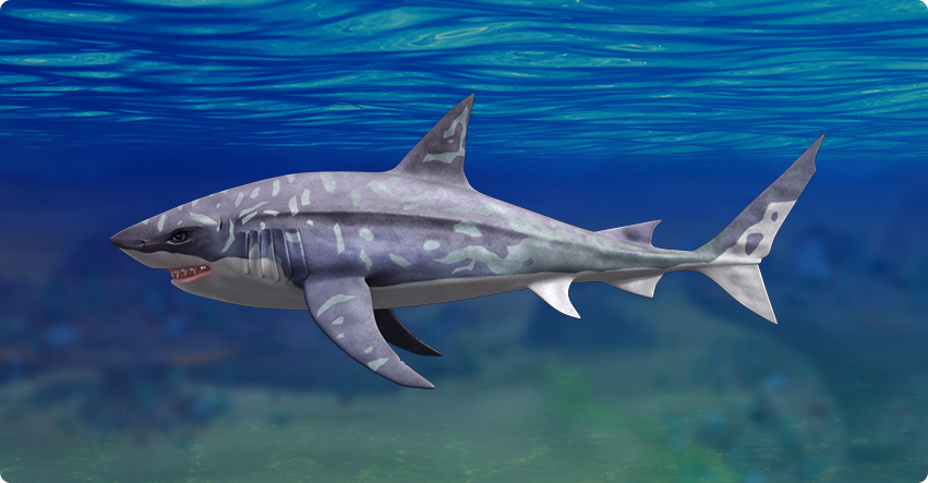 megalodon