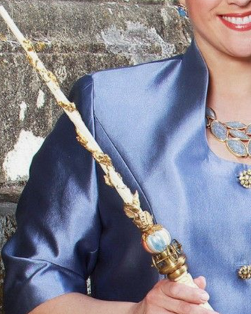 Magic Wand | Descendants Wiki | Fandom