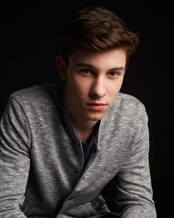 Shawn Mendes Descendants Wiki Fandom