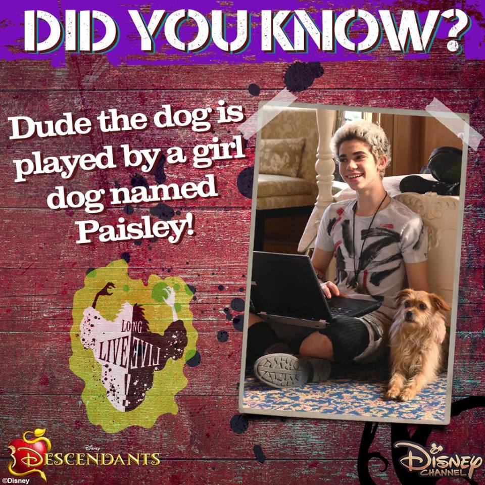 Dude the Dog | Descendants Wiki | FANDOM powered by Wikia