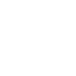 Ballistic Shield