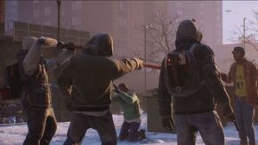 The division factions