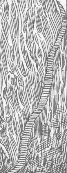 Koboldssteps