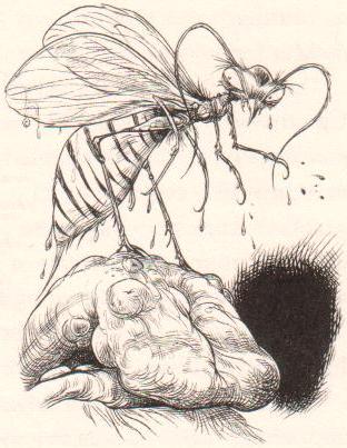 Woodwasp