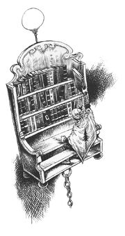 Rook reading