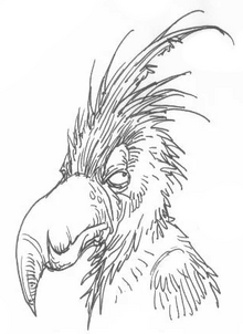 CantationaryBird