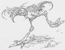 RidgeRunner