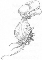 Windwhelk