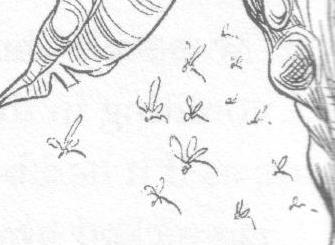 Woodmidges
