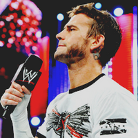 Cm Punk Wwe The E Federation Wiki Fandom