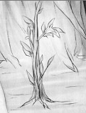 Micatree