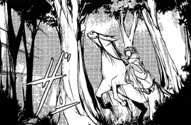 Rilianehorseback
