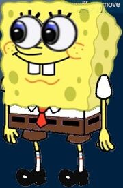 New Spongee