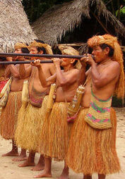Native amazonian cultures