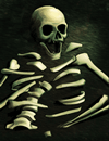 Bones