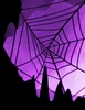 Nadircobweb.png (12 KB) Nadircobweb