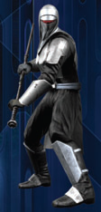 Shadow Guard