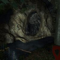 Cuevas Wiki The Forest Fandom