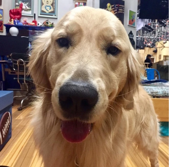 Cosmo Fuller House Wikia FANDOM powered by Wikia