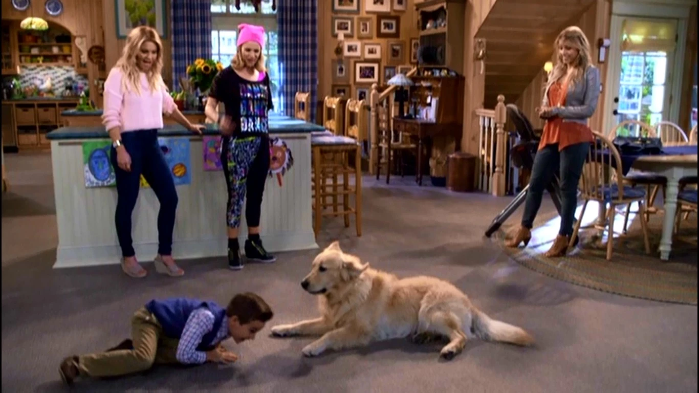 Cosmo Season 2 Image Gallery Fuller House Wikia Fandom