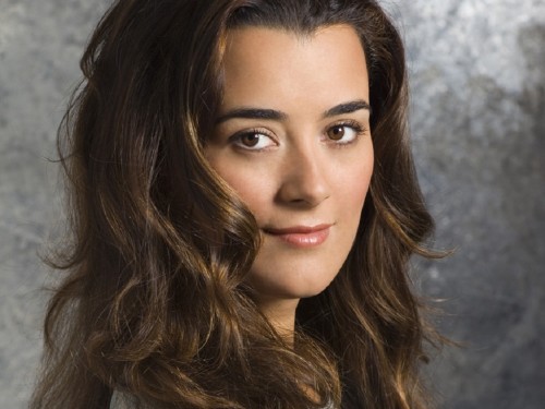ziva david ziva david