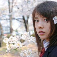 Get Wallpaper Akari Yoshiyama Toki Wo Kakeru Shojo Wiki Fandom HD