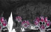 Jewelgarden