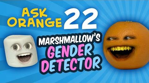 Marshmallow's Gender Detector | The High Fructose ...