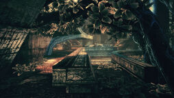 Ys garden