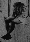 Boy Window