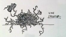 Vine Creeper
