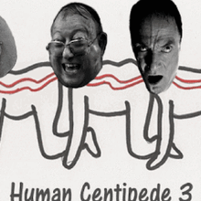 Human Centipede Cult Following The Human Centipede Wiki Fandom