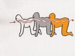 Complete Sequence artwork
