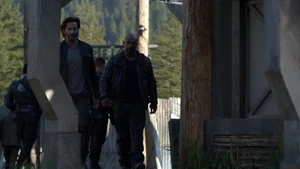 Terms and Conditions 029