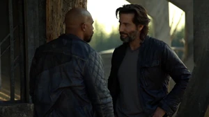 Terms and Conditions 031