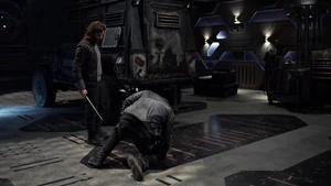 Terms and Conditions 089